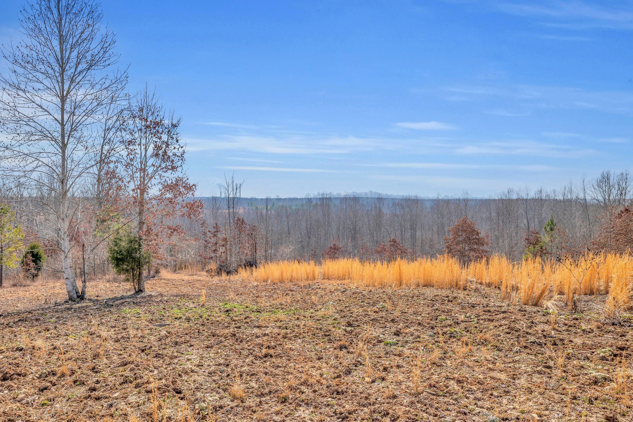 262 Deer Haven Road Indian Mound, TN 37079 - Photo 24 of 29