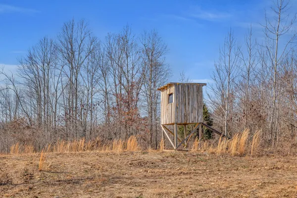 a view of backyard with green space