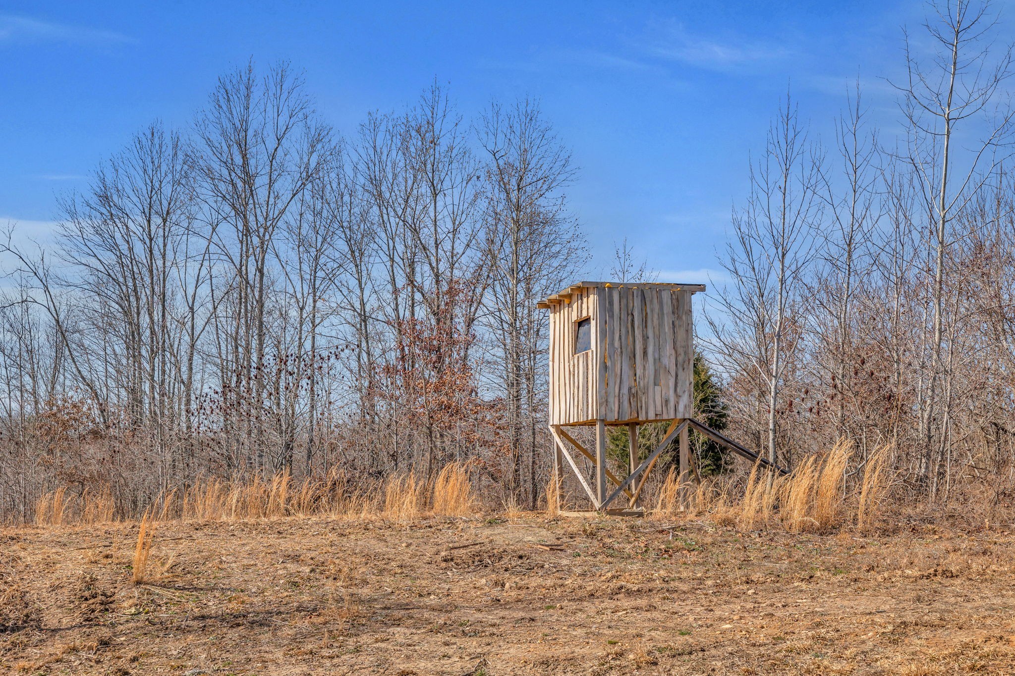 262 Deer Haven Road Indian Mound, TN 37079 - Photo 25 of 29