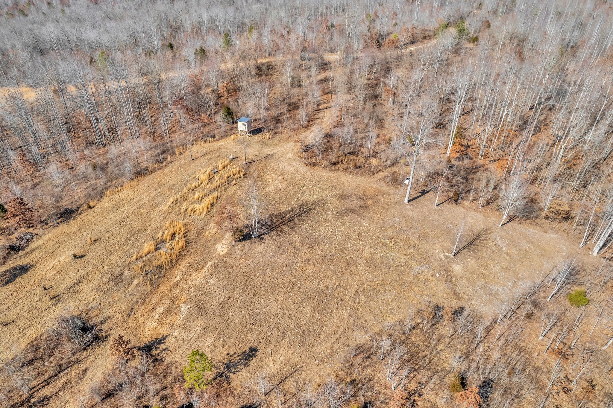 262 Deer Haven Road Indian Mound, TN 37079 - Photo 28 of 29