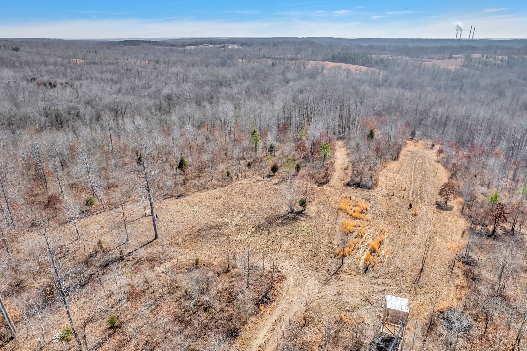 262 Deer Haven Road Indian Mound, TN 37079 - Photo 3 of 29