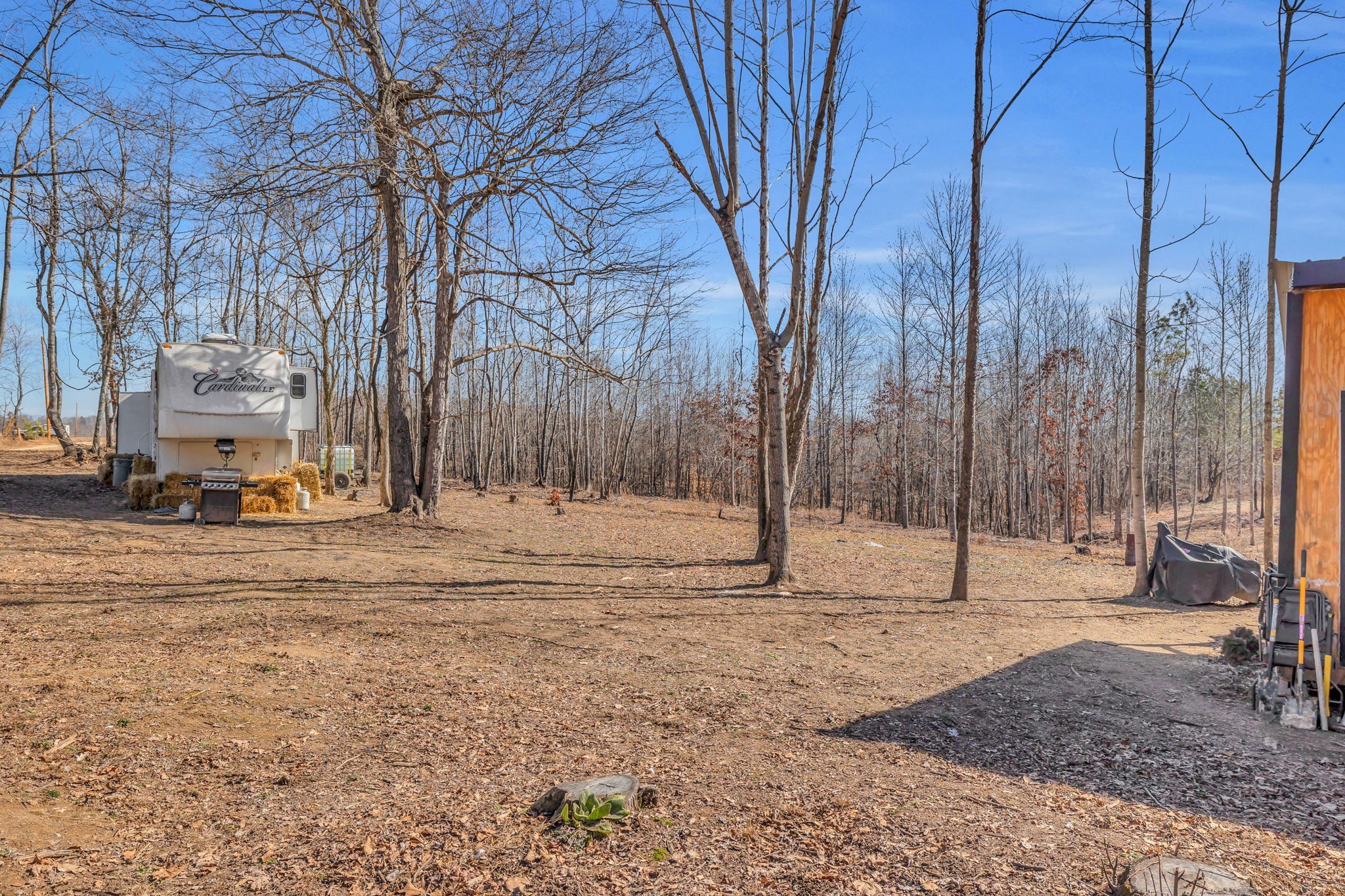 262 Deer Haven Road Indian Mound, TN 37079 - Photo 4 of 29