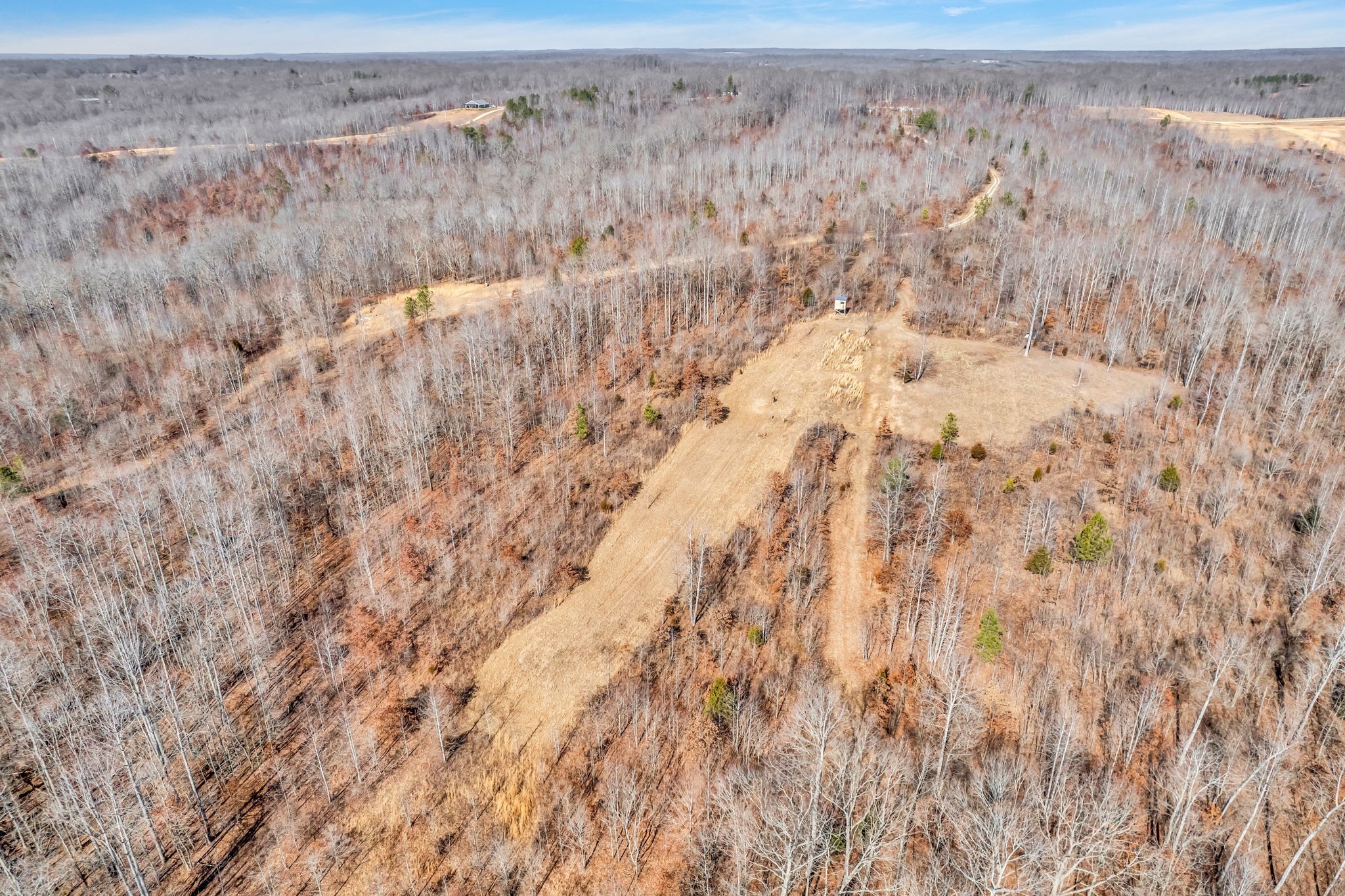 262 Deer Haven Road Indian Mound, TN 37079 - Photo 5 of 29