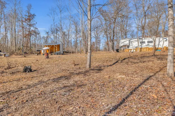 a view of a yard with a tree