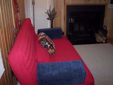 67 Powderidge Road Snowshoe, WV 26209 - Photo 4 of 5 living