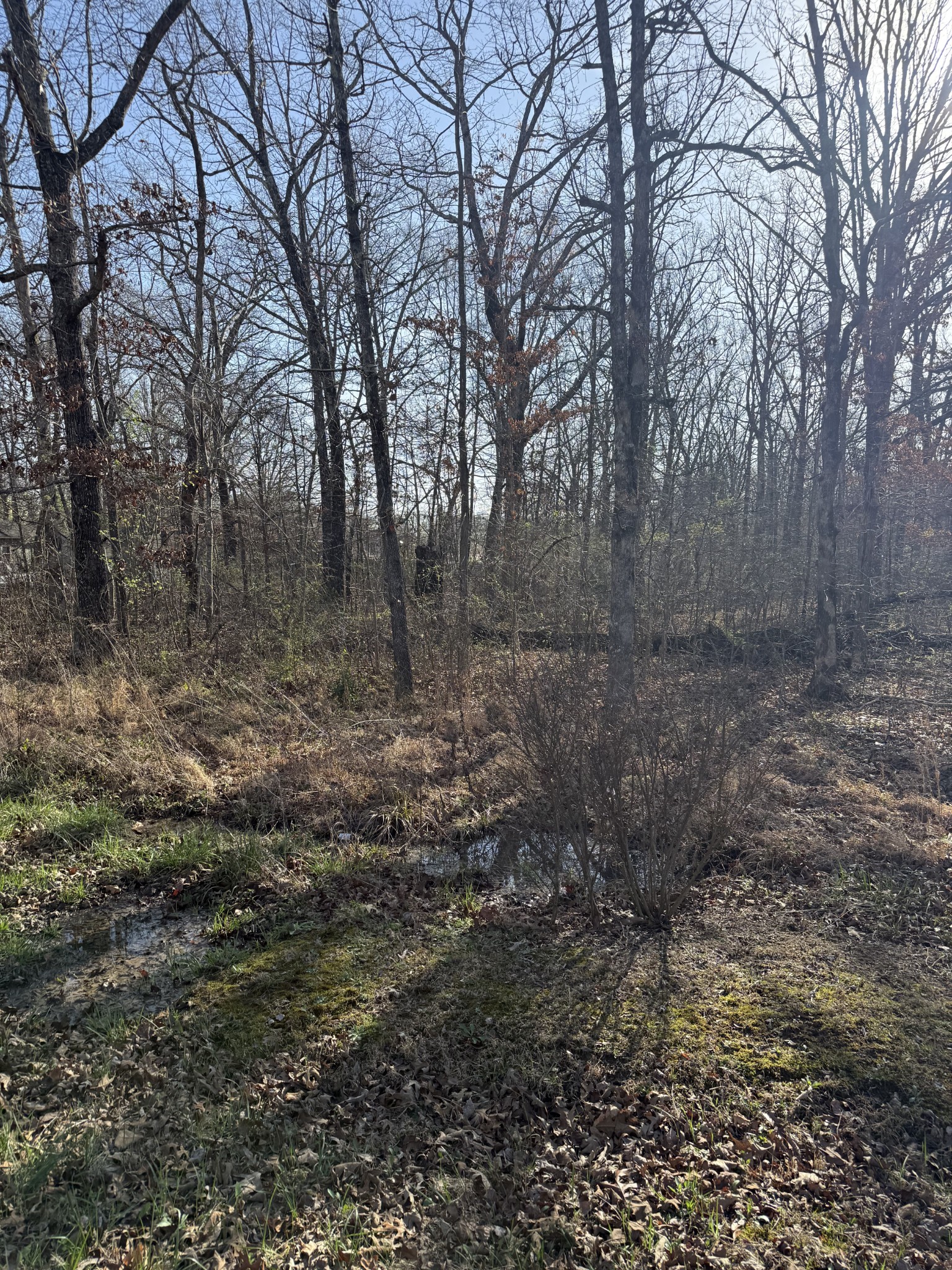 0 Cheyenne Circle Beechgrove, TN 37018 - Photo 3 of 3