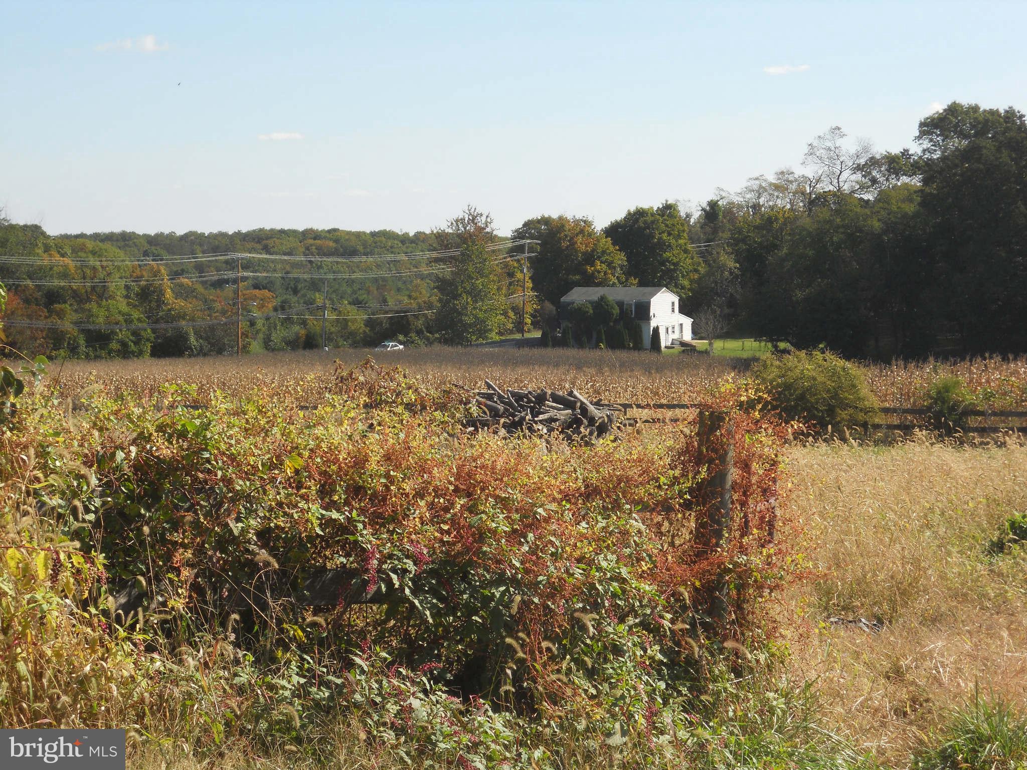 Middletown Road Parkton, MD 21120 - Photo 2 of 6 Crops or pastures