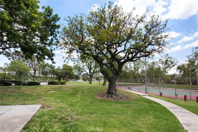 a view of a tree in a park
