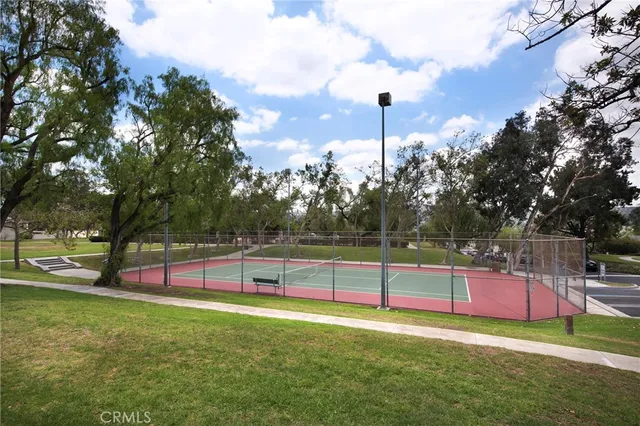 a view of a park with large trees