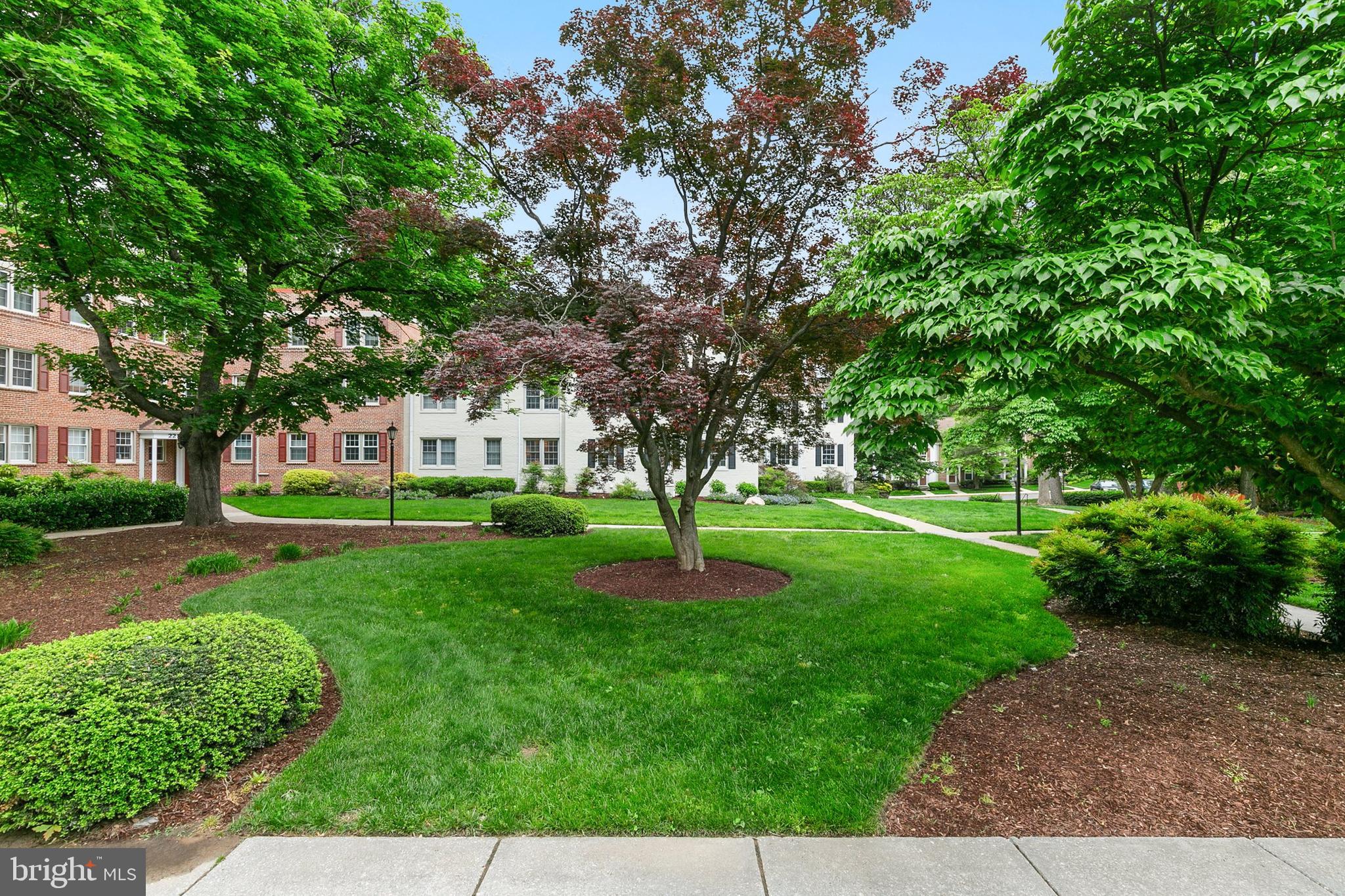 2212 Washington Avenue, Unit 103 Silver Spring, MD 20910 - Photo 40 of 43