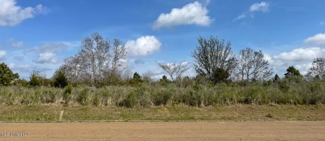 $528,000 | Church Road, Canton, MS 39046