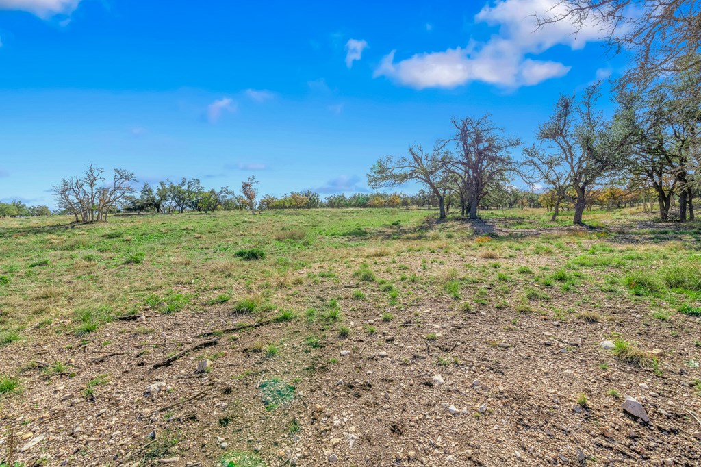 47 Nott Branch Road, Unit 47 Harper, TX 78631 - Photo 10 of 18 Gallery Image 10