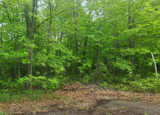 $20,000 | Xxxxx Journeys End, Garrison, MN 56450