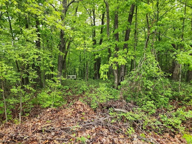 $20,000 | Xxxxx Journeys End, Garrison, MN 56450