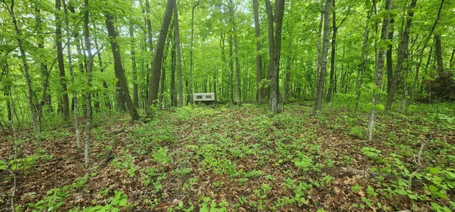 $20,000 | Xxxxx Journeys End, Garrison, MN 56450