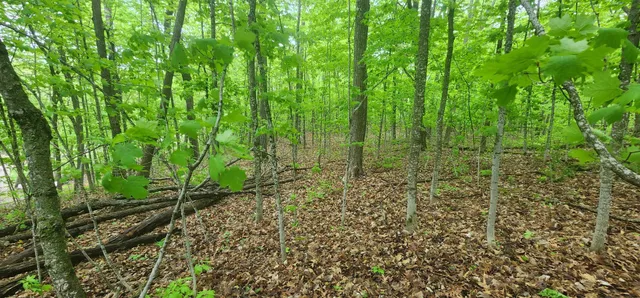 $20,000 | Xxxxx Journeys End, Garrison, MN 56450