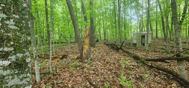 $20,000 | Xxxxx Journeys End, Garrison, MN 56450