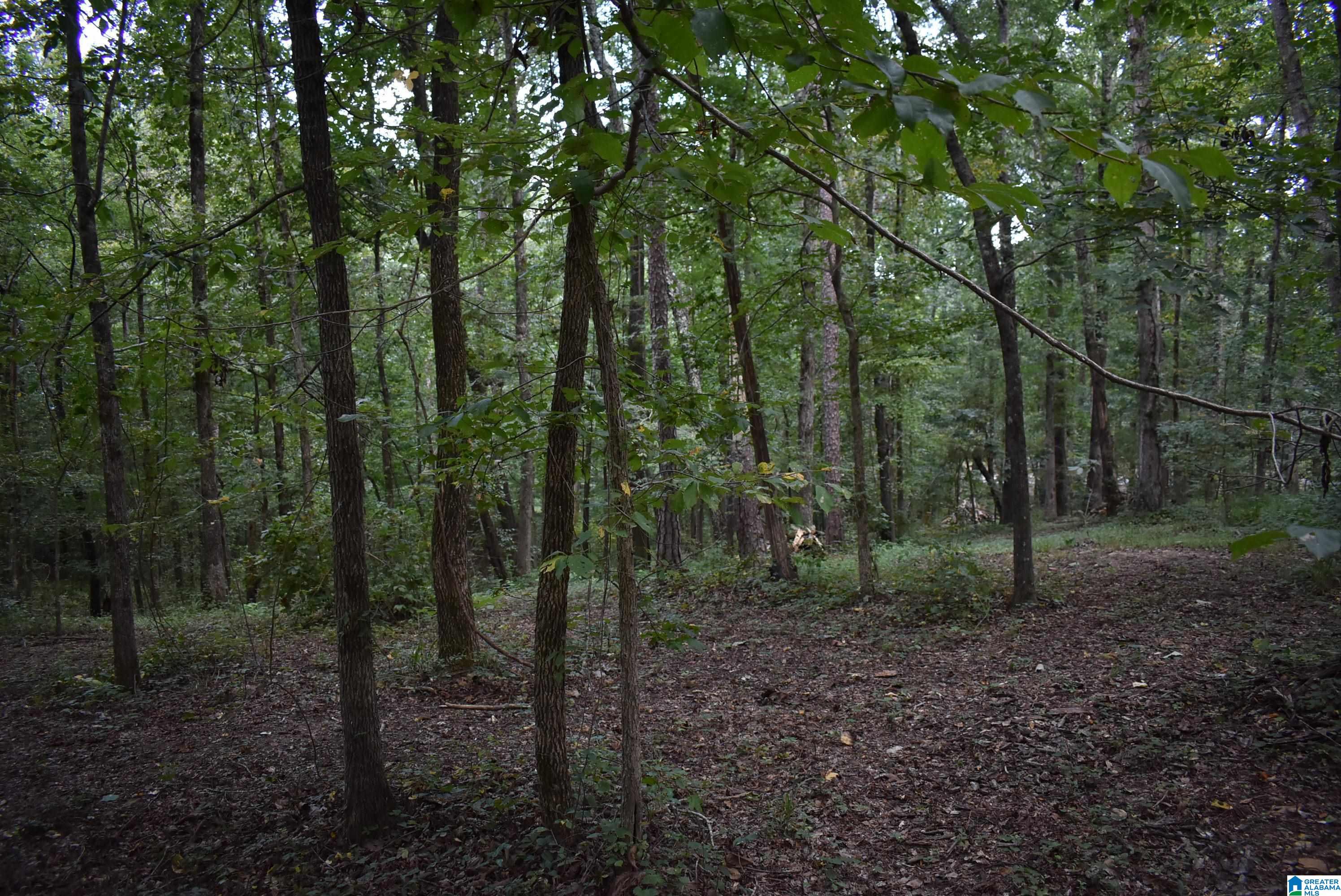 7432 Roper Road, Unit 4 Trussville, AL 35173 - Photo 17 of 19