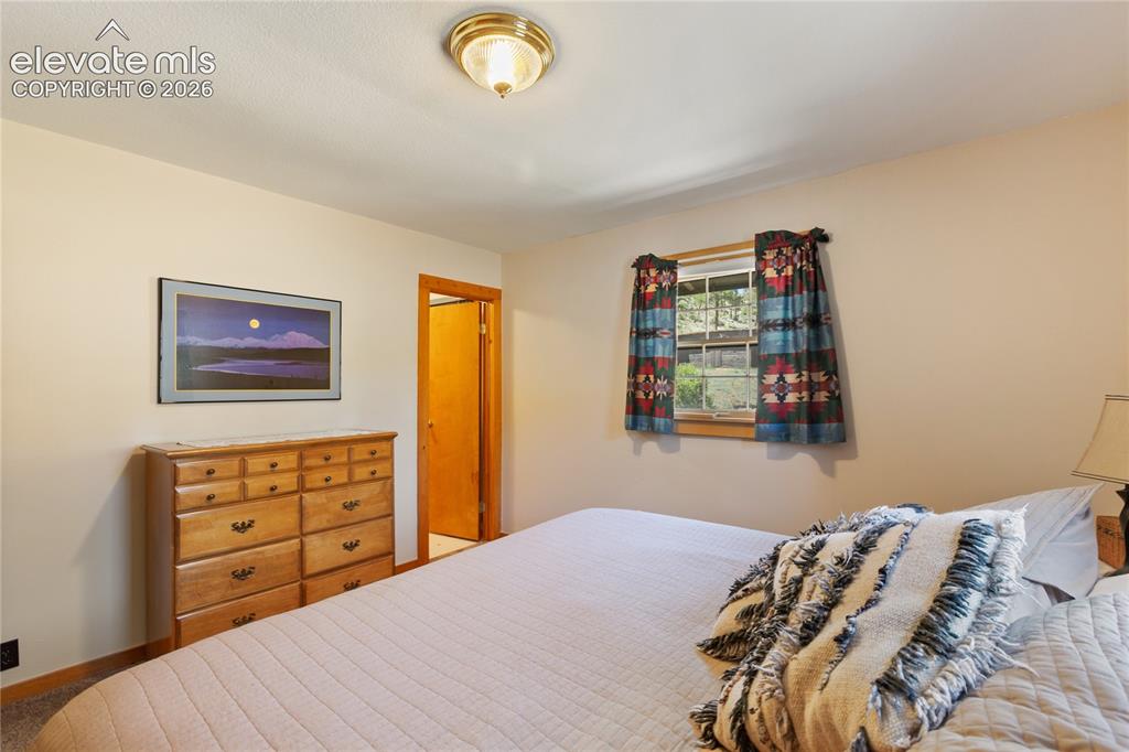 146 Toms Ranch Rd Lake Lake George, CO 80827 - Photo 24 of 30