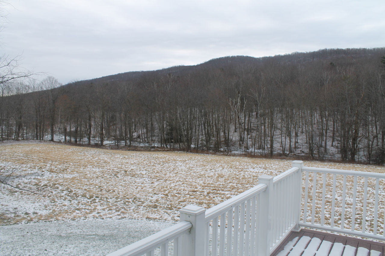 Yard view from deck