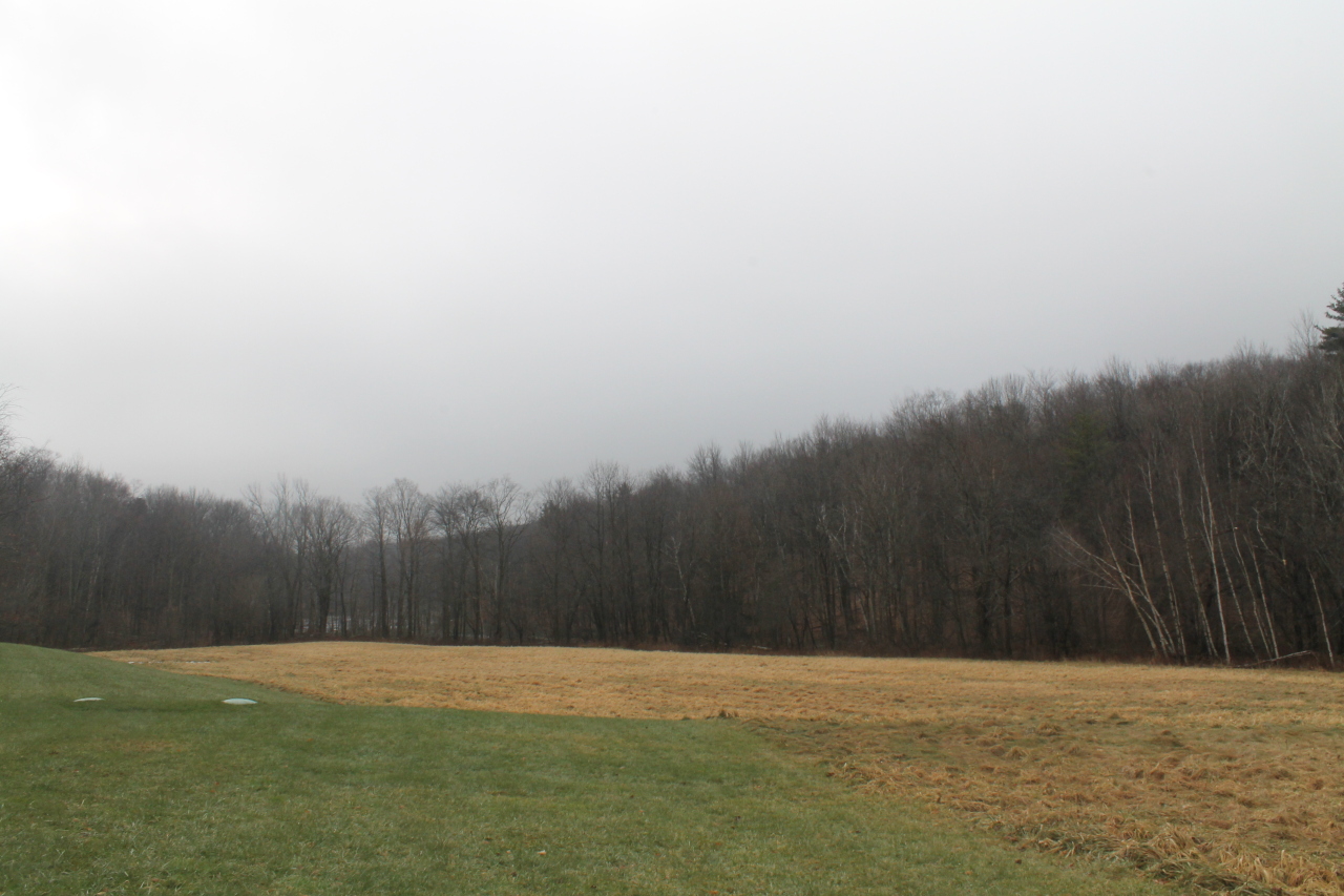 187 Bailey Road Lanesborough, MA 01237 - Photo 8 of 14 Meadow in rear yard