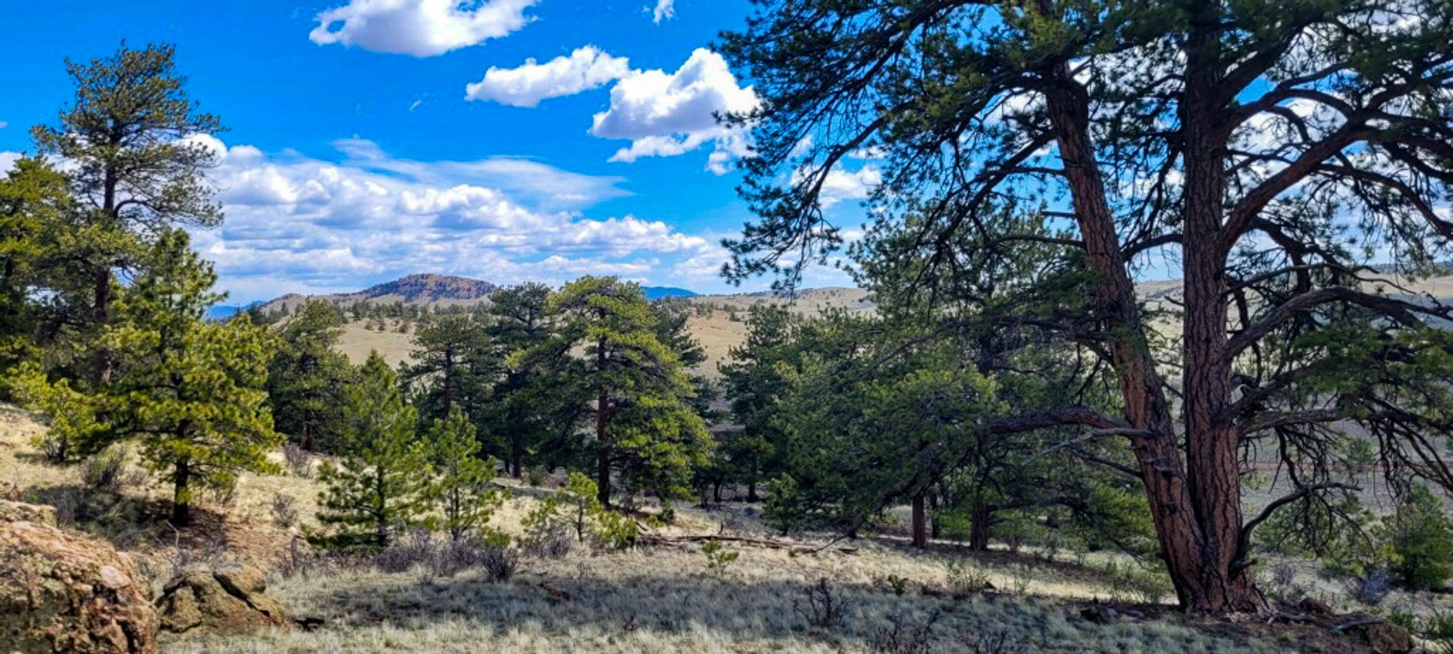Tbd Tbd Black Beaver Rd/ Keechi Road Hartsel, CO 80449 - Photo 18 of 28 Gallery Image 18