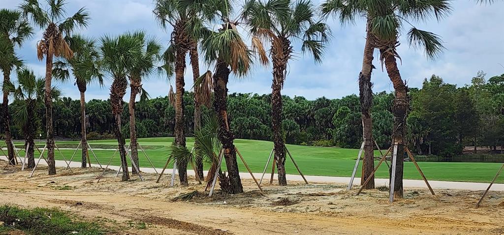 19062 Via Messina Way Miromar Lakes, FL 33913 - Photo 15 of 15 a view of a park with palm trees