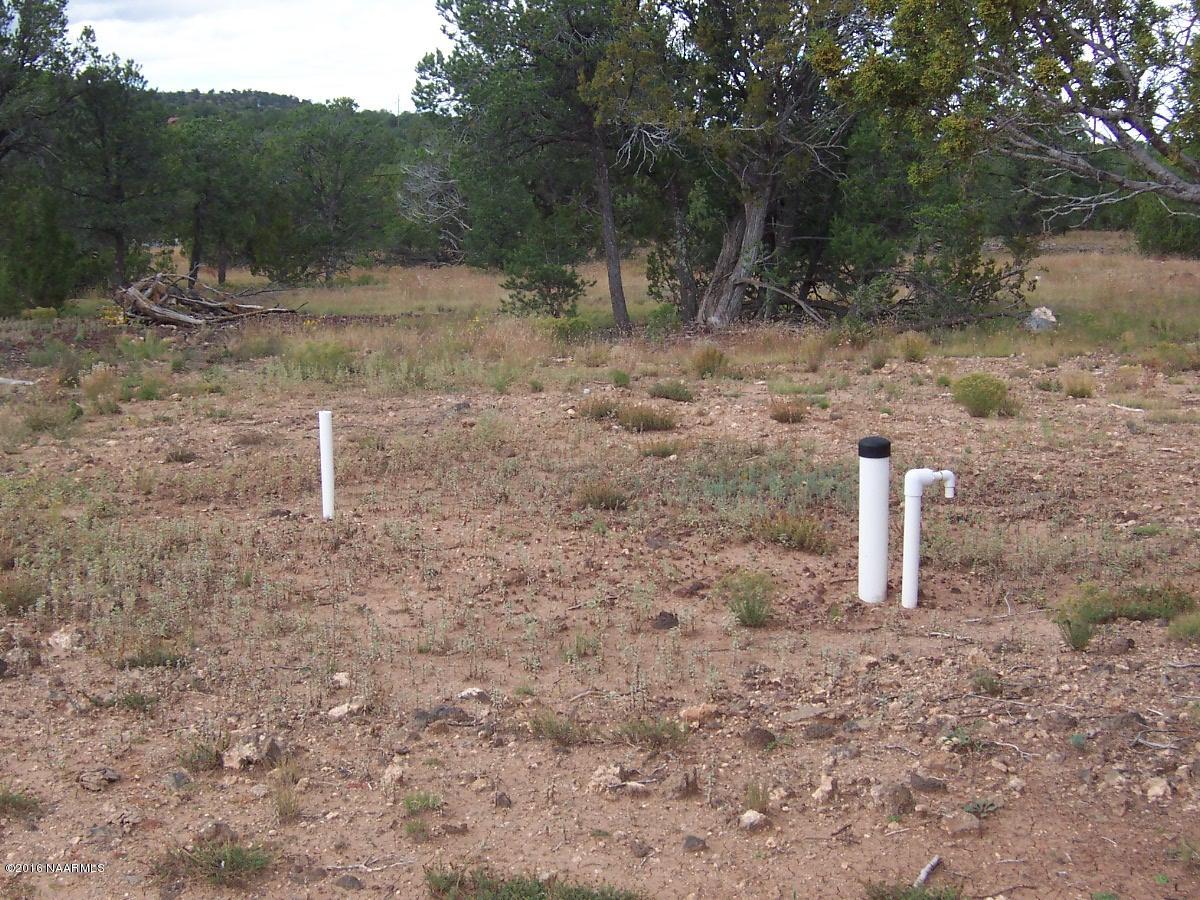 6798 North Santa Fe Road Williams, AZ 86046 - Photo 2 of 6 000_3172
