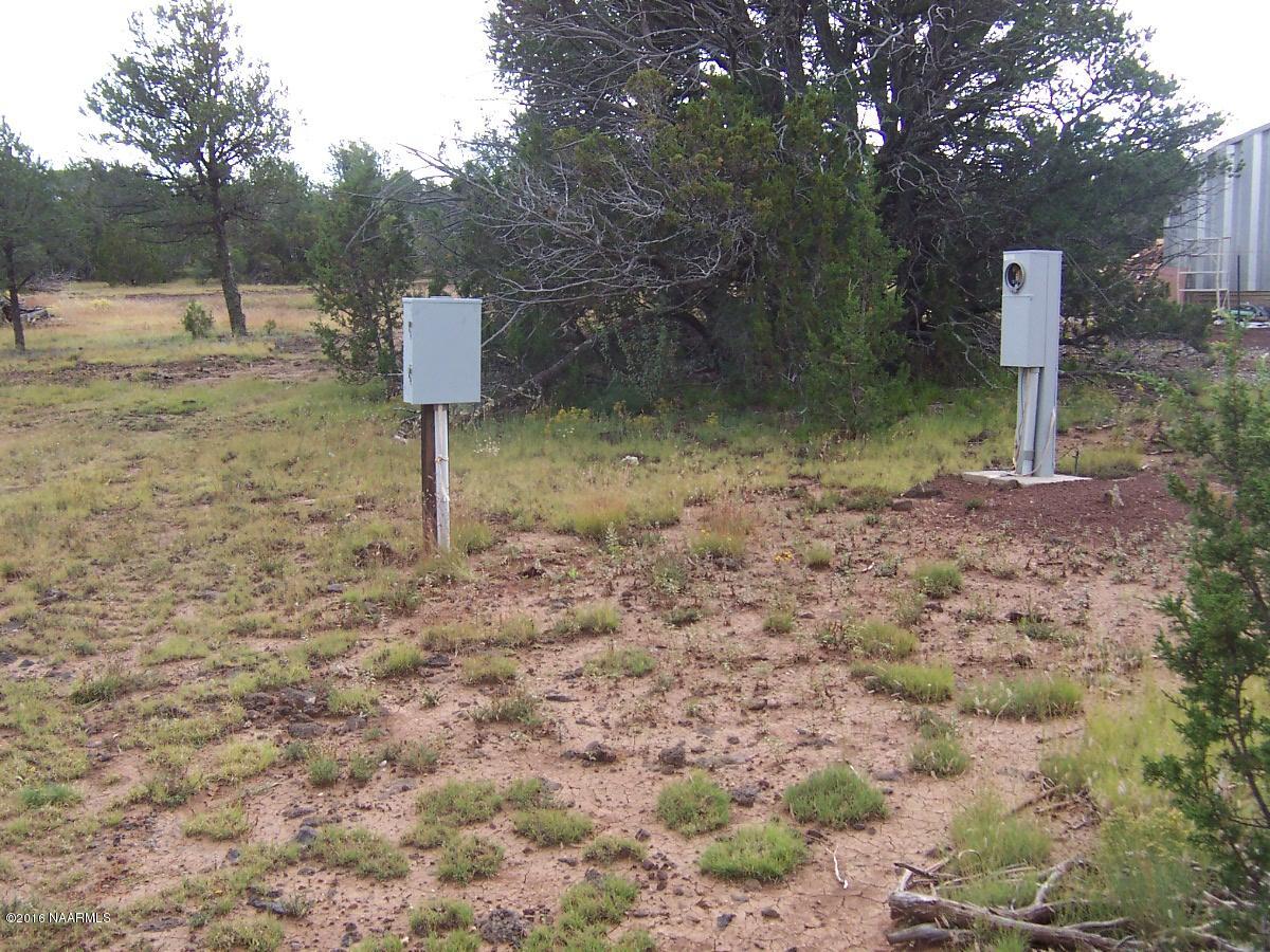 6798 North Santa Fe Road Williams, AZ 86046 - Photo 3 of 6 000_3174