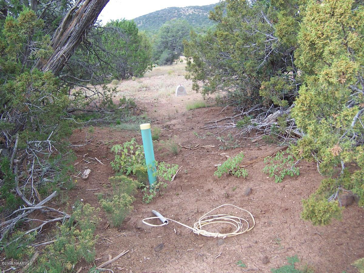 6798 North Santa Fe Road Williams, AZ 86046 - Photo 4 of 6 000_3173