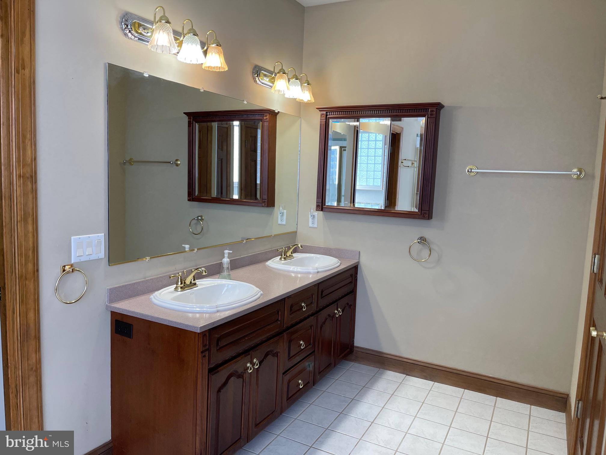 29577 Eagle Crest Road Milton, DE 19968 - Photo 13 of 30 Double vanity in Master Bath