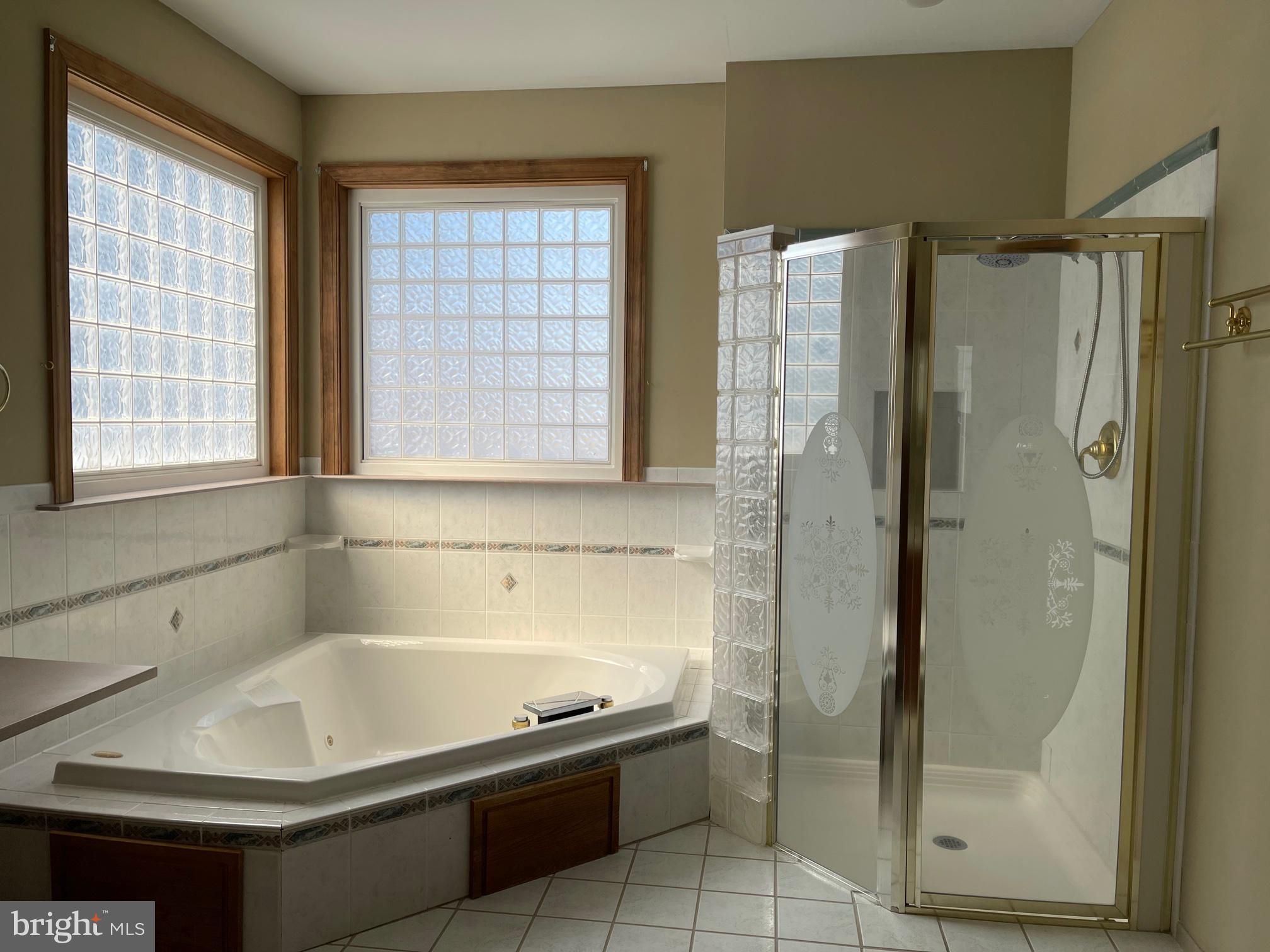 29577 Eagle Crest Road Milton, DE 19968 - Photo 14 of 30 Master jetted tub and shower