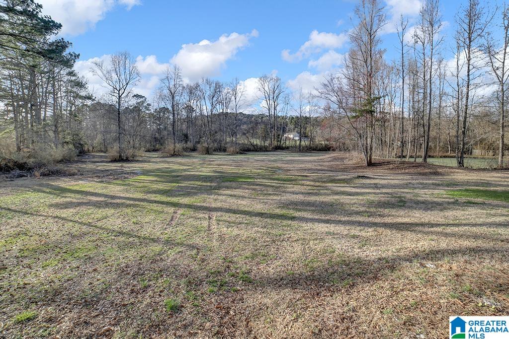 7121 Goodner Mountain Road Trussville, AL 35173 - Photo 30 of 30