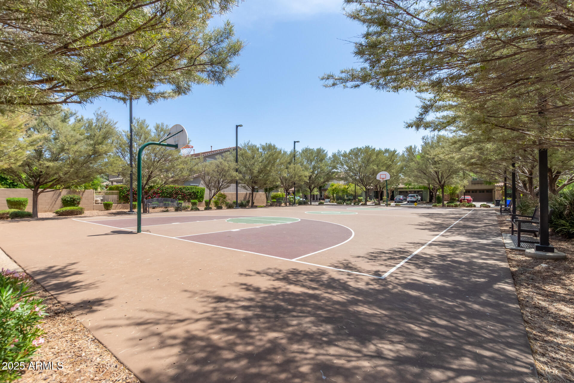 3420 East Bart Street Gilbert, AZ 85295 - Photo 39 of 47 Community Area