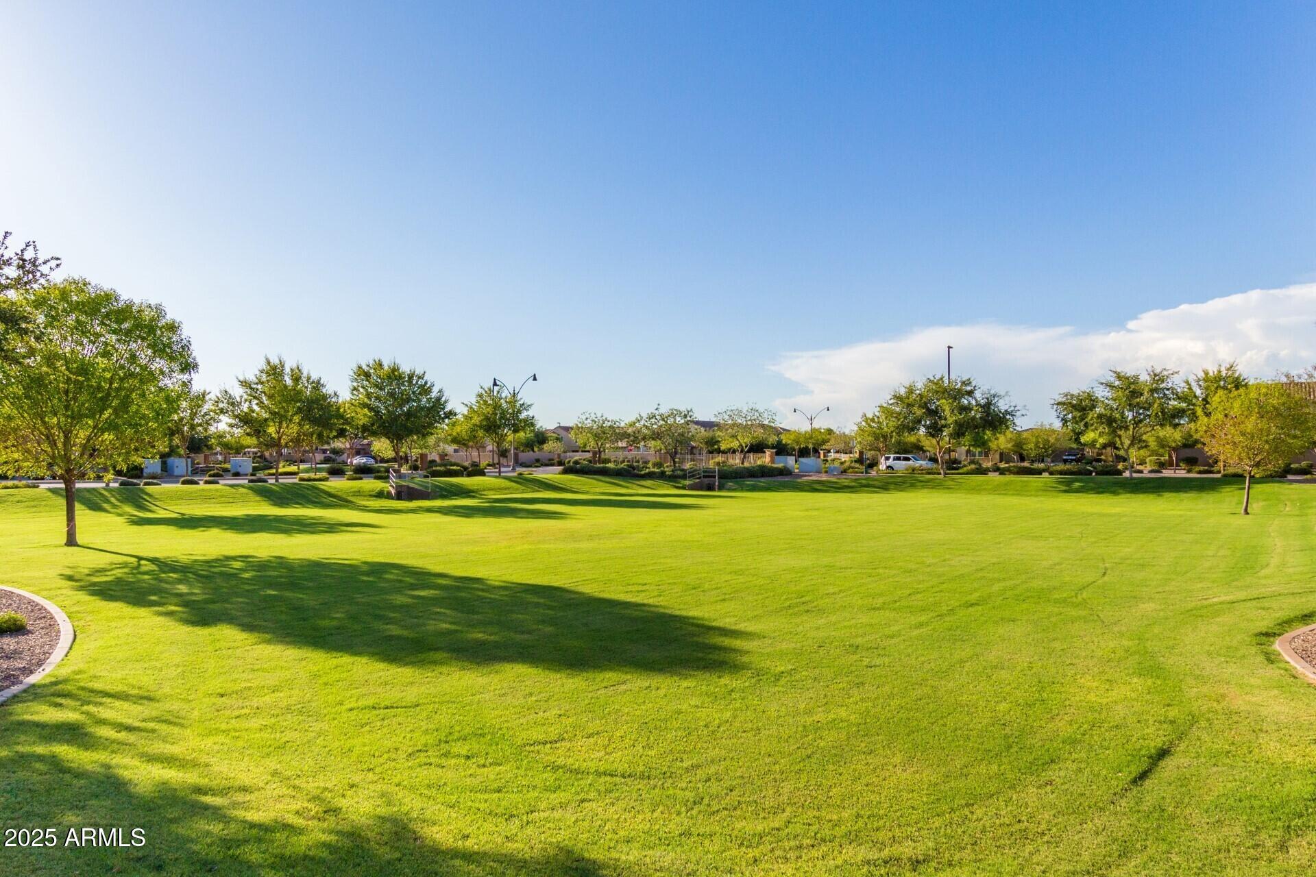3420 East Bart Street Gilbert, AZ 85295 - Photo 41 of 47 Community Area
