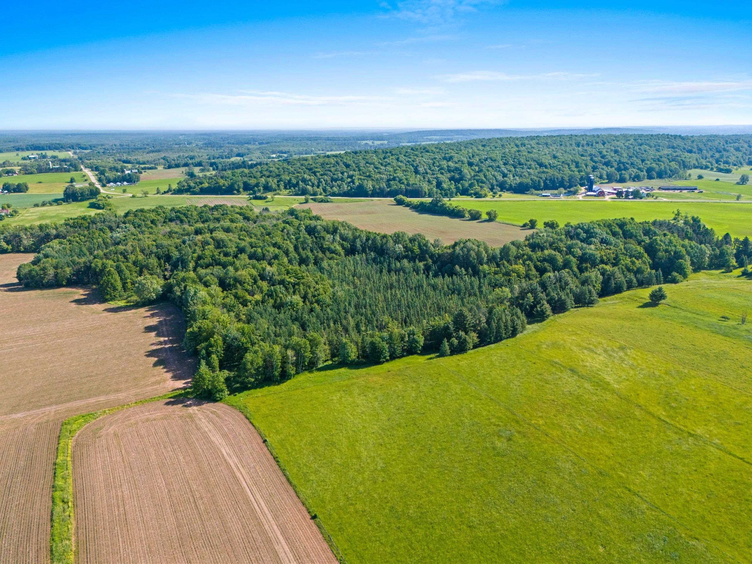 Cty Road Leopolis, WI 54948 - Photo 6 of 13