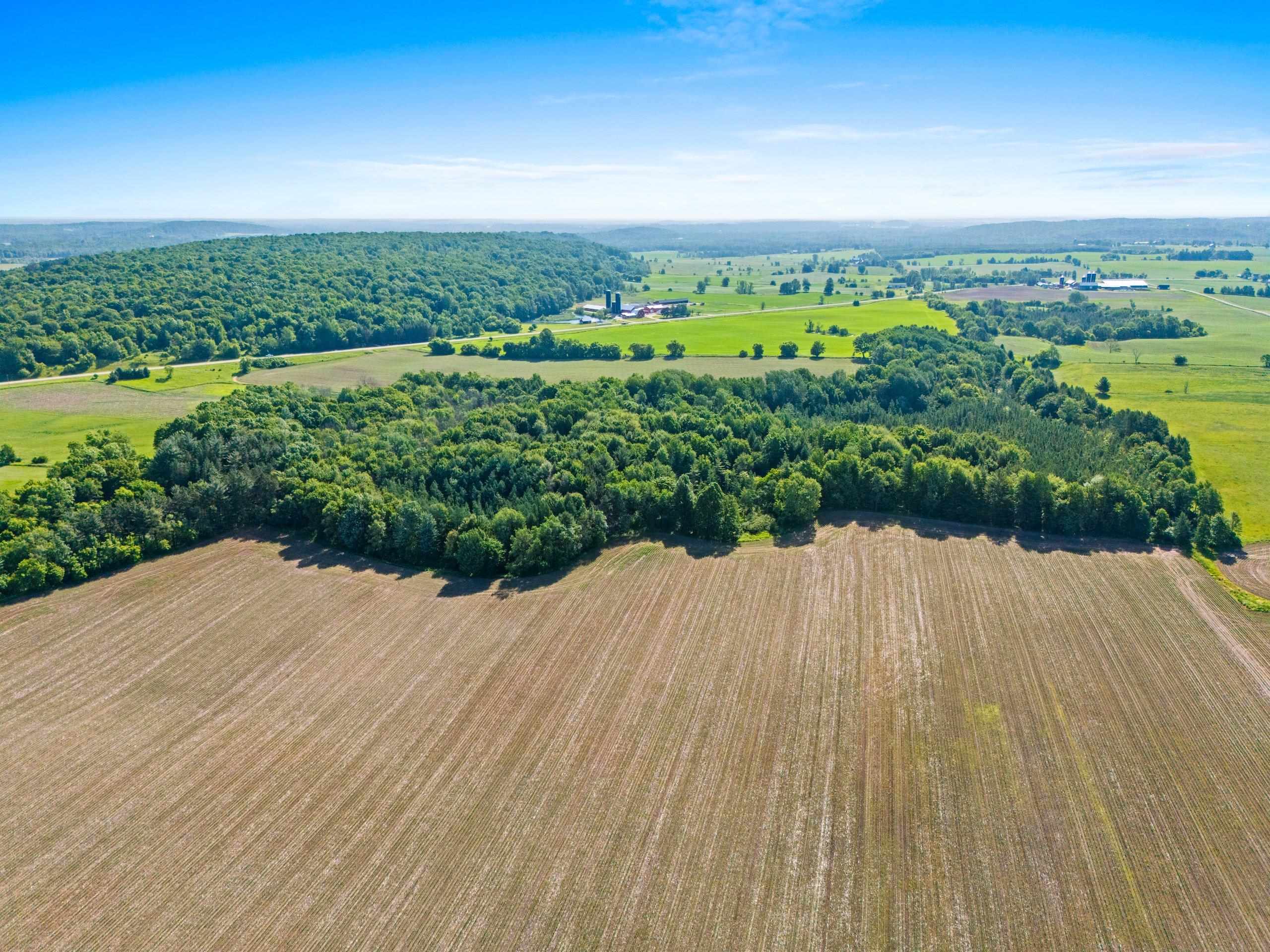 Cty Road Leopolis, WI 54948 - Photo 7 of 13