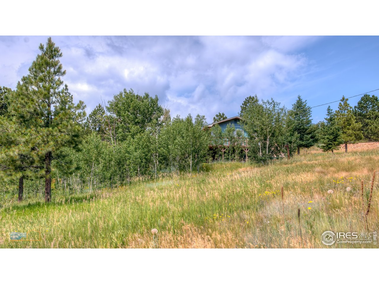 336 Taylor Road Lyons, CO 80540 - Photo 11 of 37 Gallery Image 11