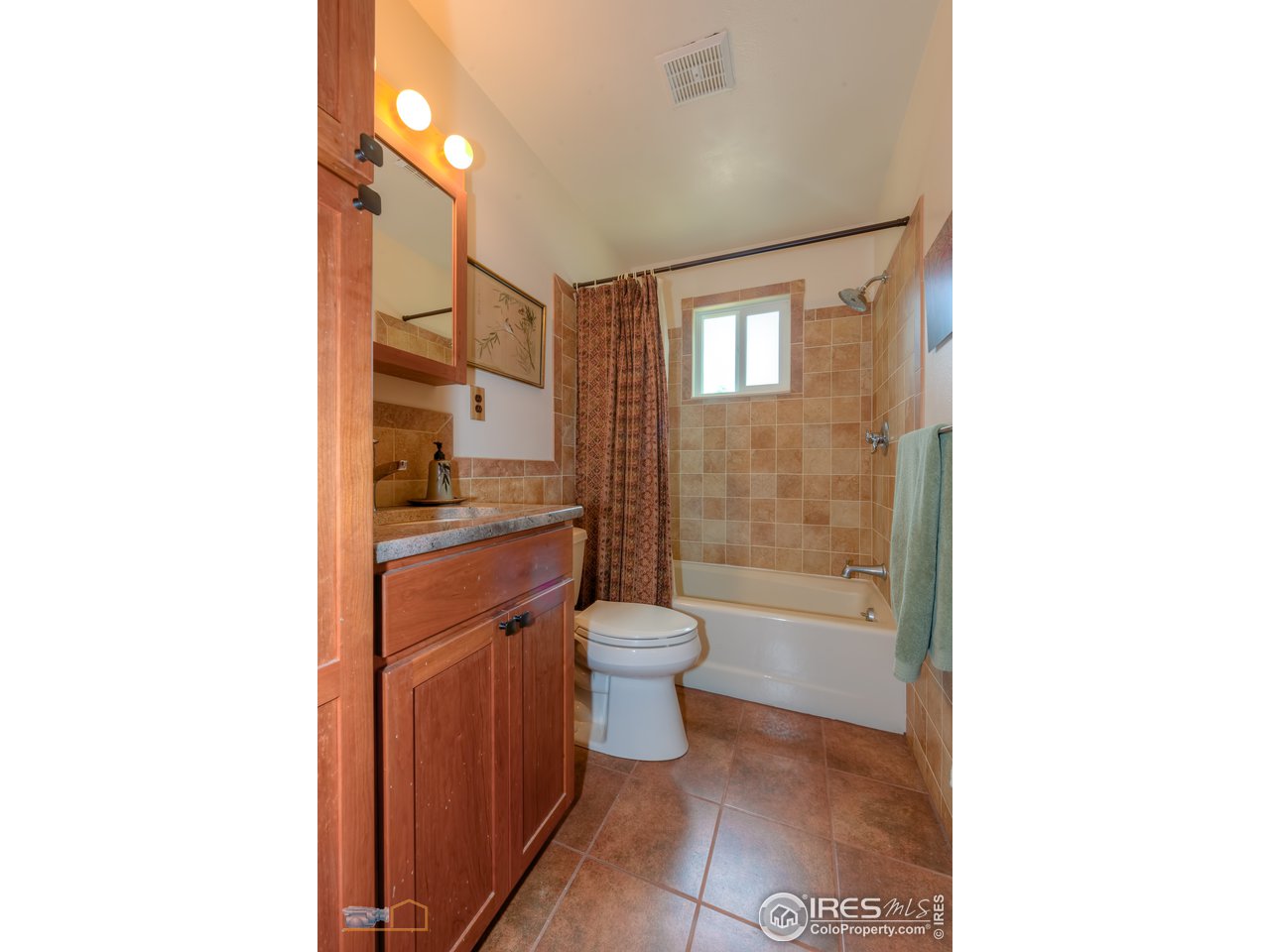 336 Taylor Road Lyons, CO 80540 - Photo 16 of 37 Gallery Image 16