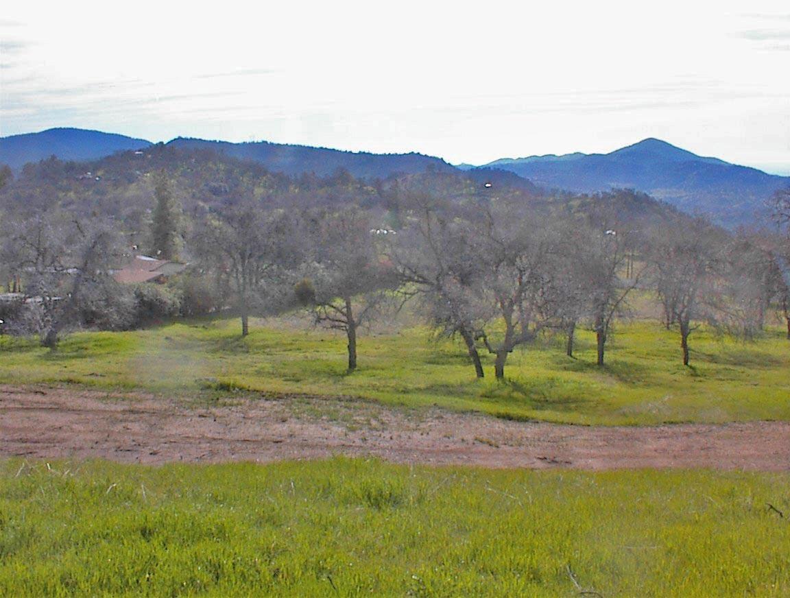 121 Longview Road Squaw Valley, CA 93675 - Photo 10 of 13 Gallery Image 10