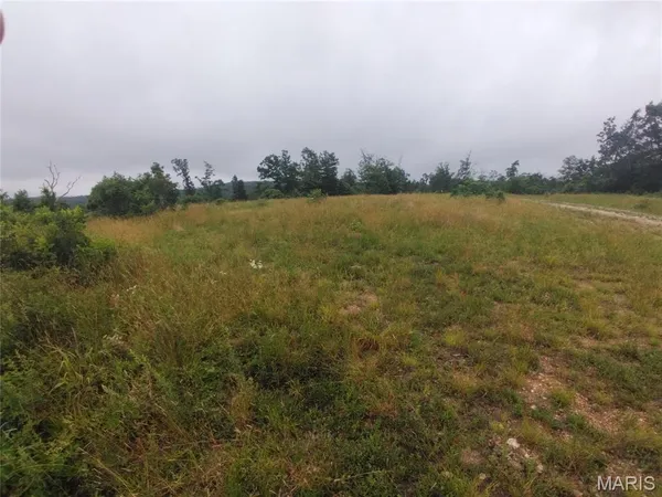 $70,200 | 3 Tract 3 Off Highway, Belleview, MO 63623