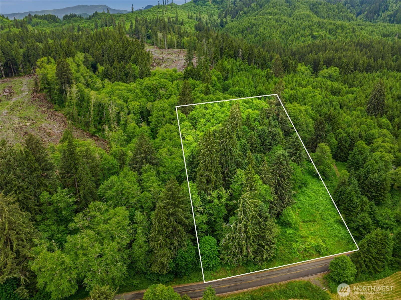 0 East Valley Road Skamokawa, WA 98647 - Photo 15 of 15