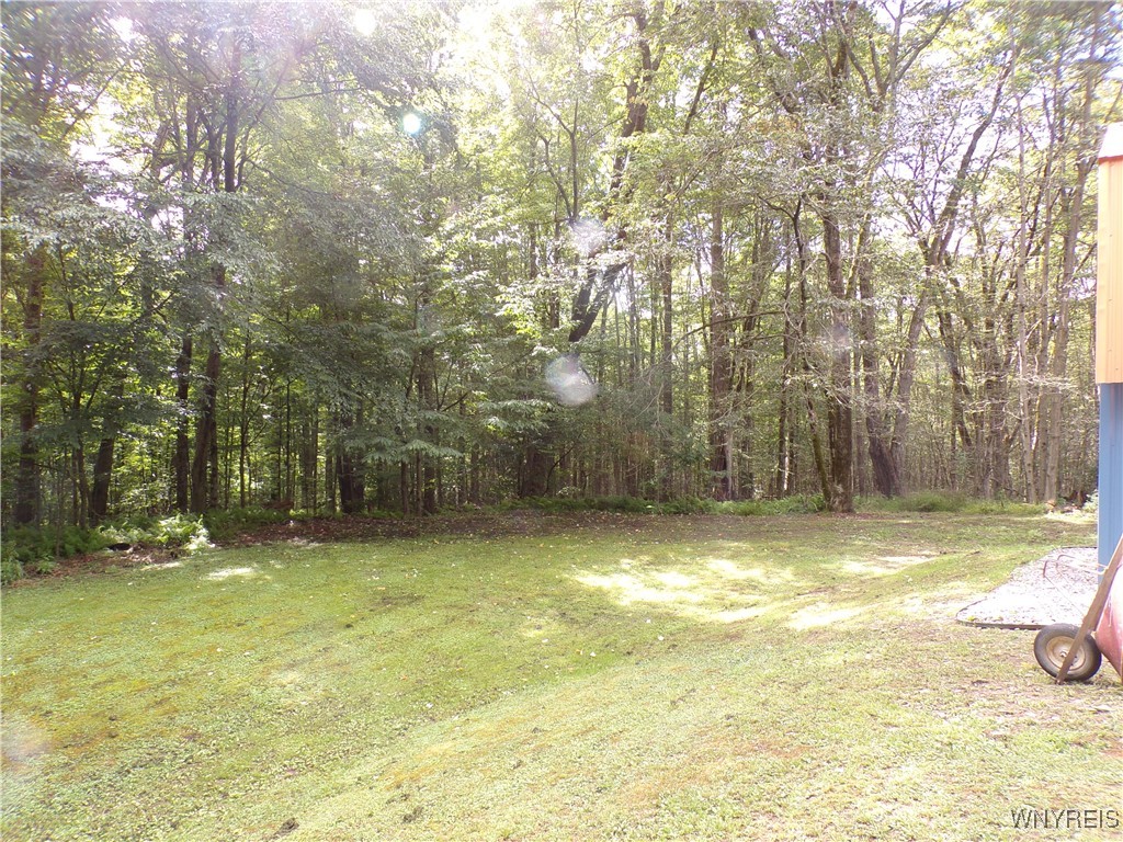 9240 Hoyett Road, Unit 17 Clarksville, NY 14727 - Photo 8 of 21