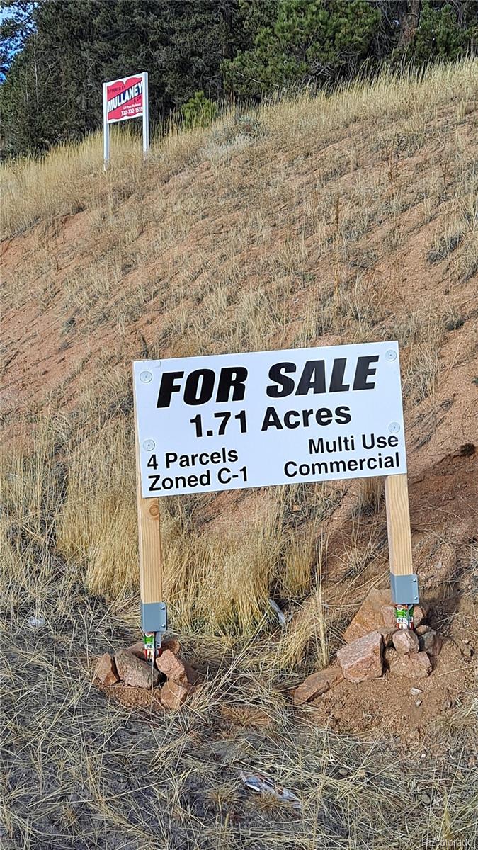 11825 South Hillside Road Conifer, CO 80433 - Photo 2 of 12 Gallery Image 2