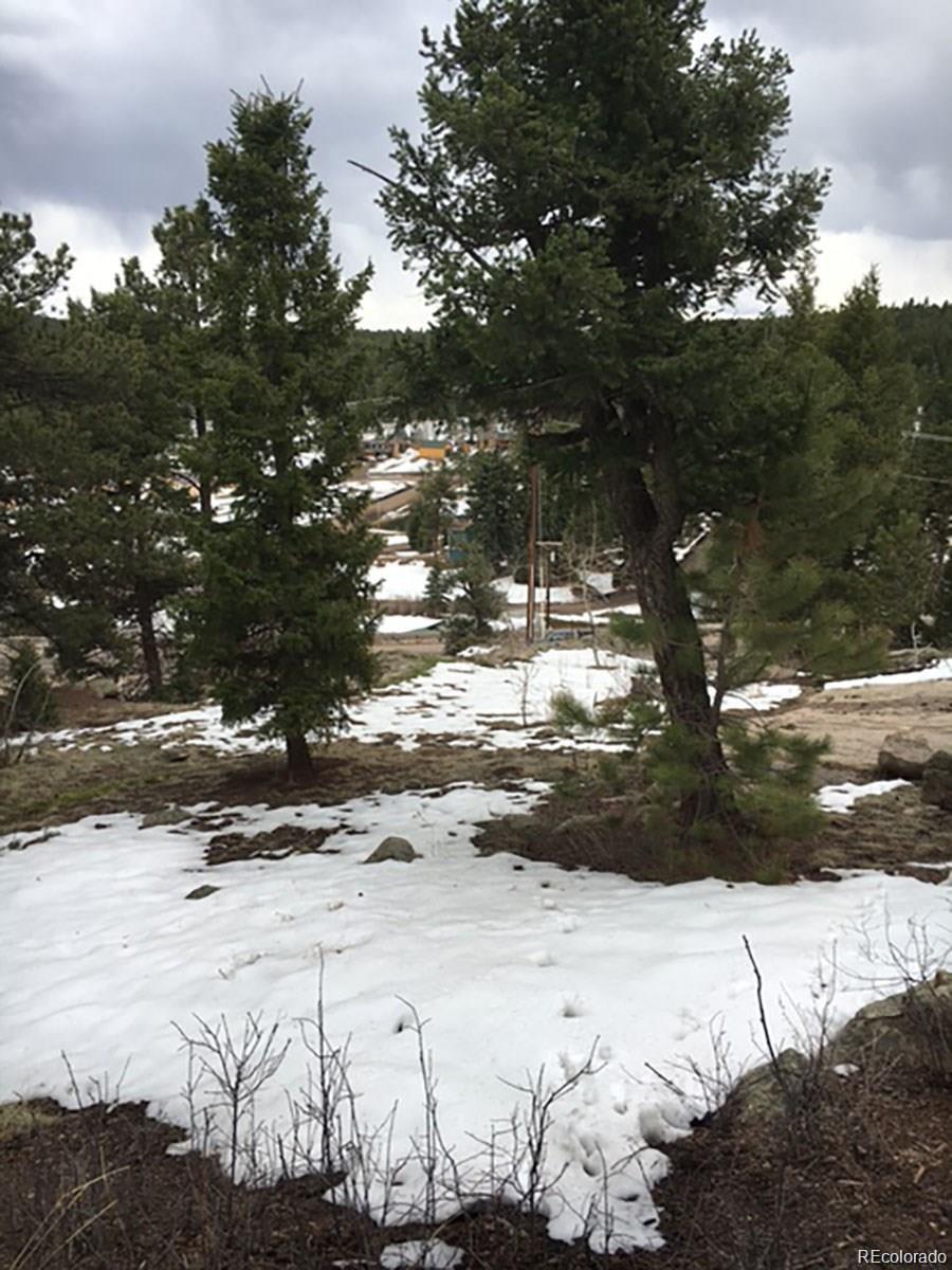 11825 South Hillside Road Conifer, CO 80433 - Photo 4 of 12 Gallery Image 4