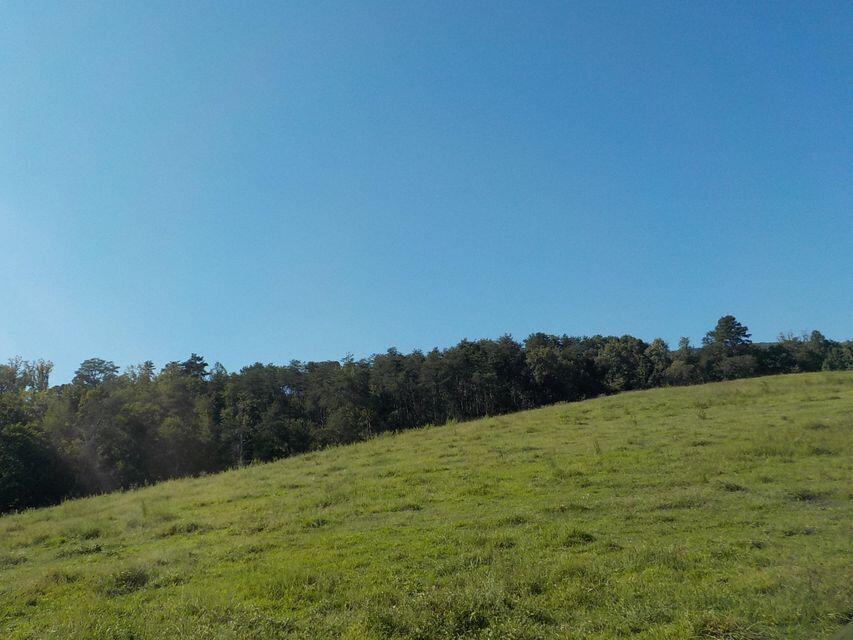 Rutledge Pike Rutledge, TN 37861 - Photo 3 of 15 Rutledge Pike 3