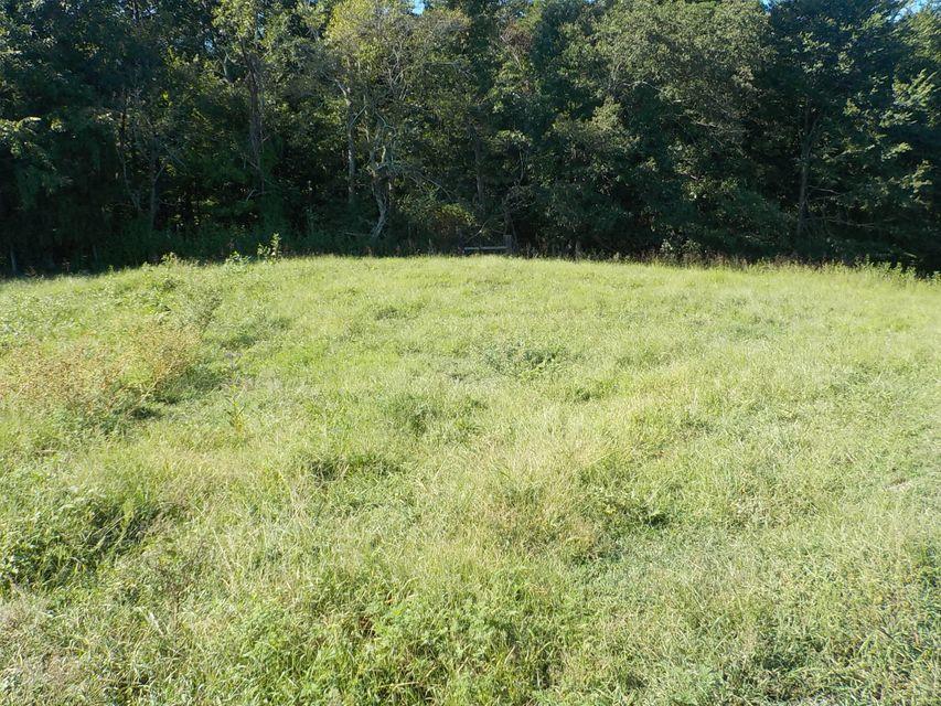 Rutledge Pike Rutledge, TN 37861 - Photo 4 of 15 Rutledge Pike 4