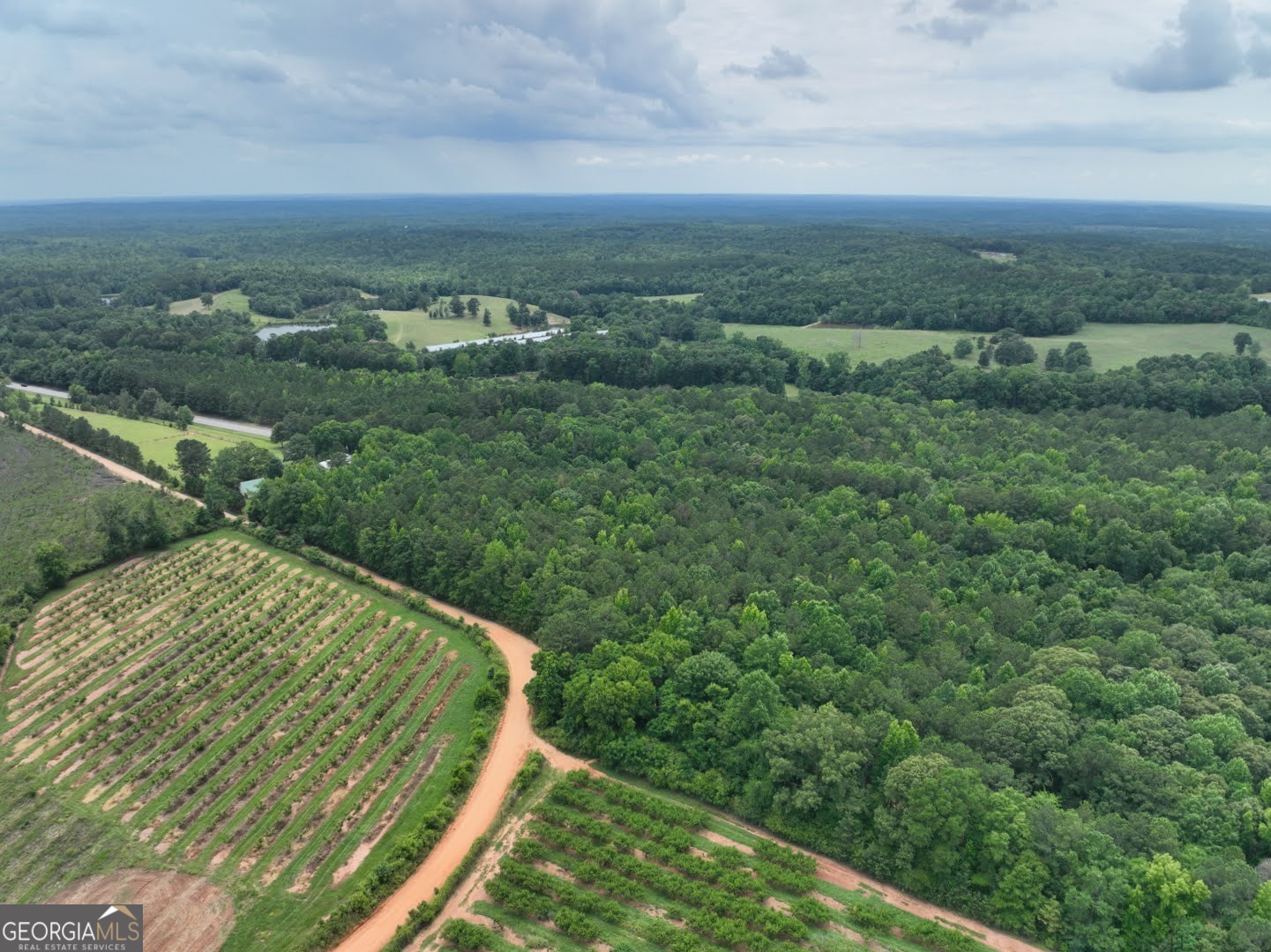 0 Clay Road Musella, GA 31066 - Photo 1 of 1 a view of a yard with an outdoor seating