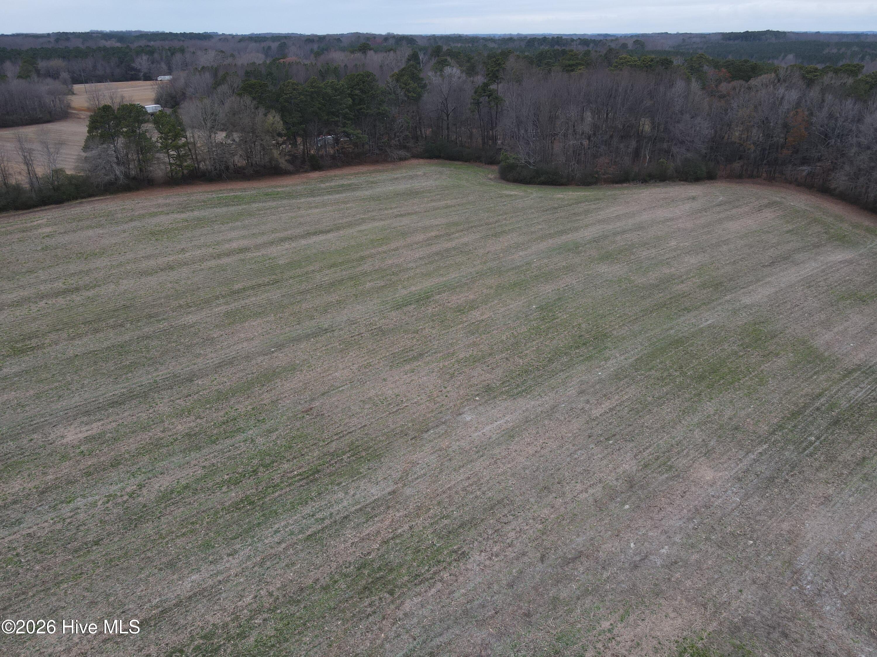 8201 Cedar Grove School Loop Road Nashville, NC 27856 - Photo 34 of 68 CG MLS 34