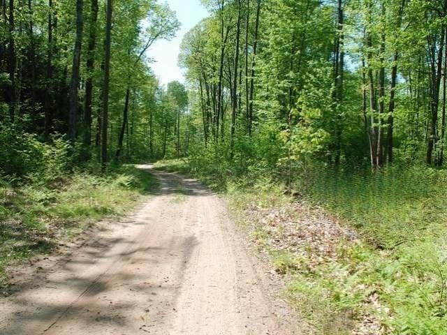 5691 Oak Ridge Drive Gladwin, MI 48624 - Photo 33 of 74